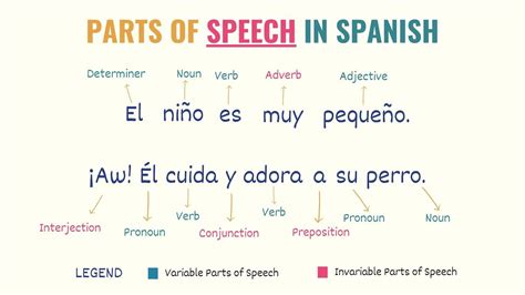 sentences en español